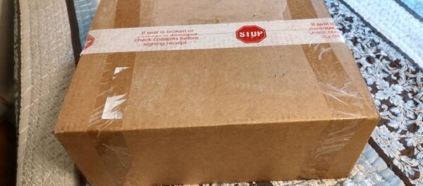 Evolving Skies Elite Trainer Box Sealed Case - Image 2