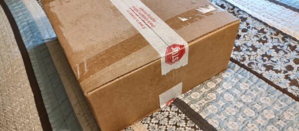 Evolving Skies Elite Trainer Box Sealed Case